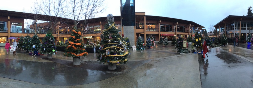 The square in front of the Lynn Valley Library puts on quite a display of Christmas trees. One of the trees was decorated by the eldest girl's class.