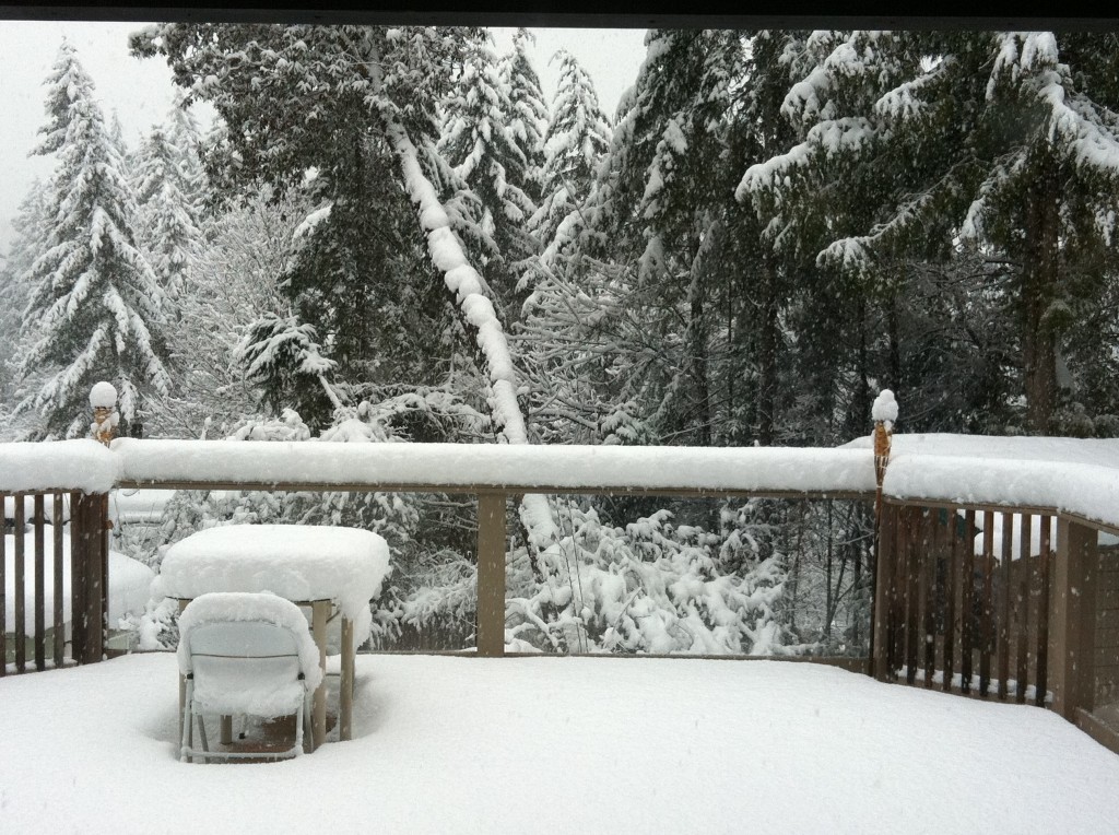 salt spring snowfall 2014