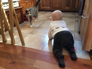 baby crawling into trouble