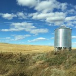 alberta wheat field and silo