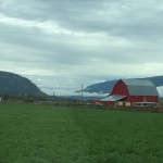 red barn in green field BC