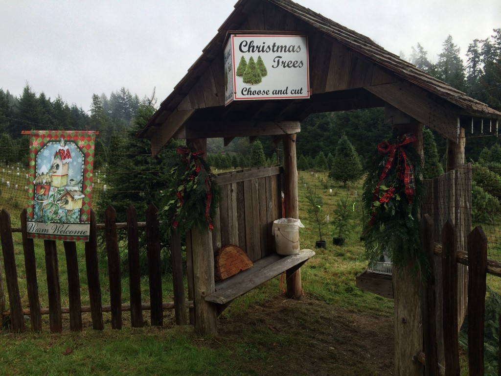 Salt Spring Island's Christmas Tree Farm