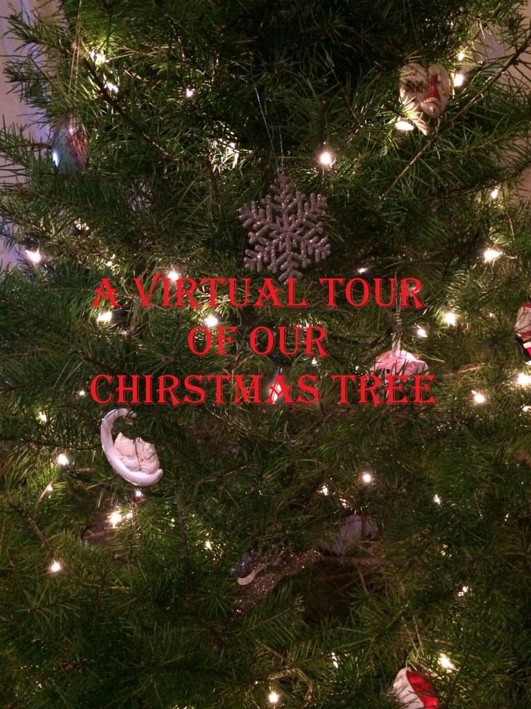 Our Christmas Tree Tour