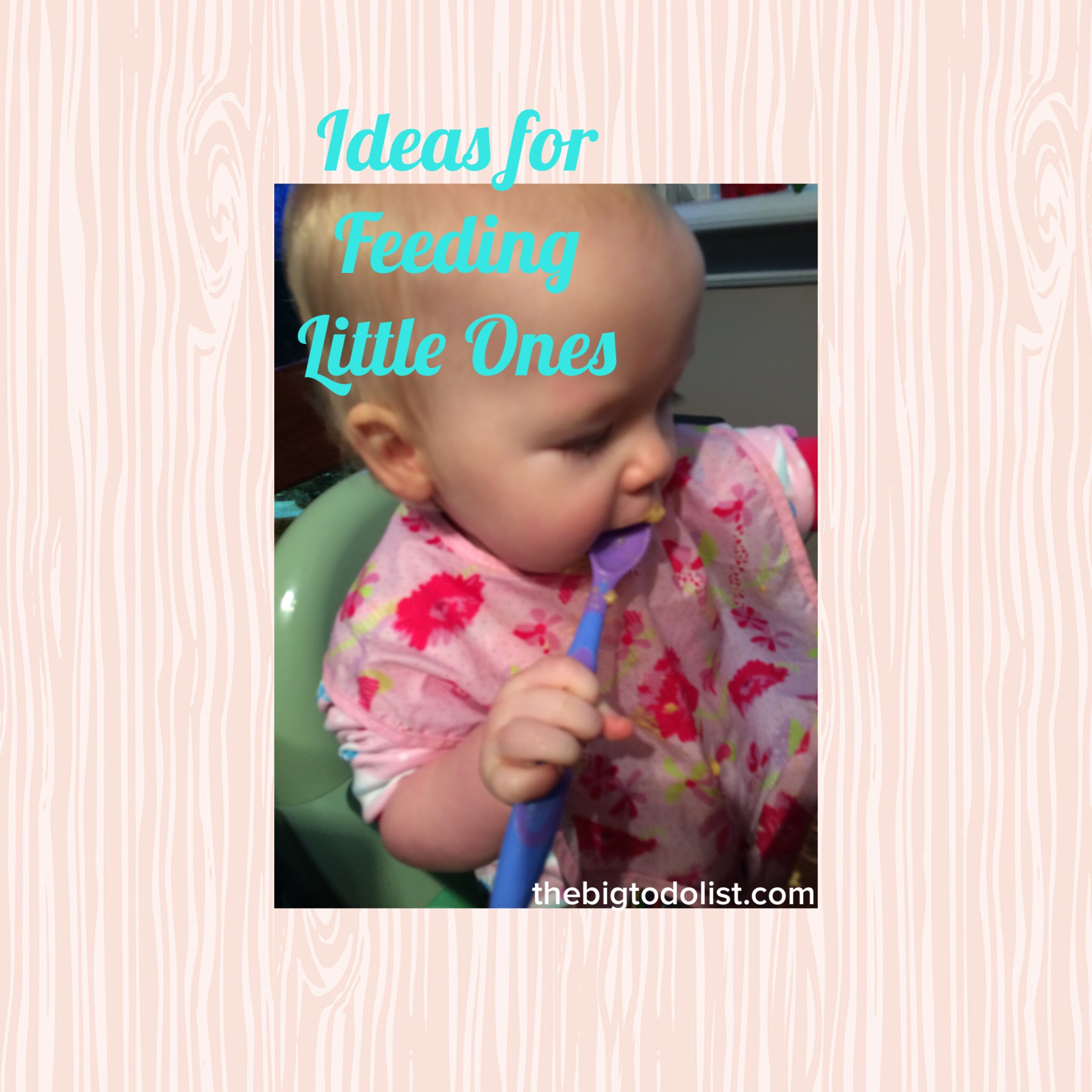 ideas for feeding babies and toddlers