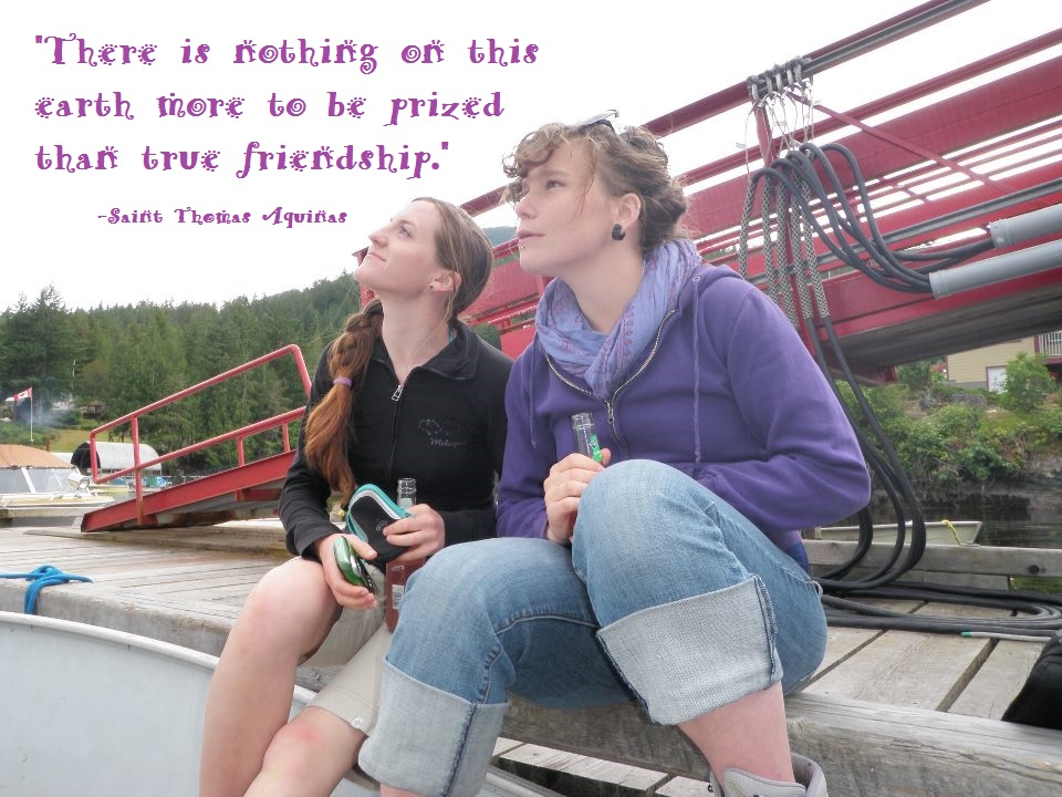 True friends quote