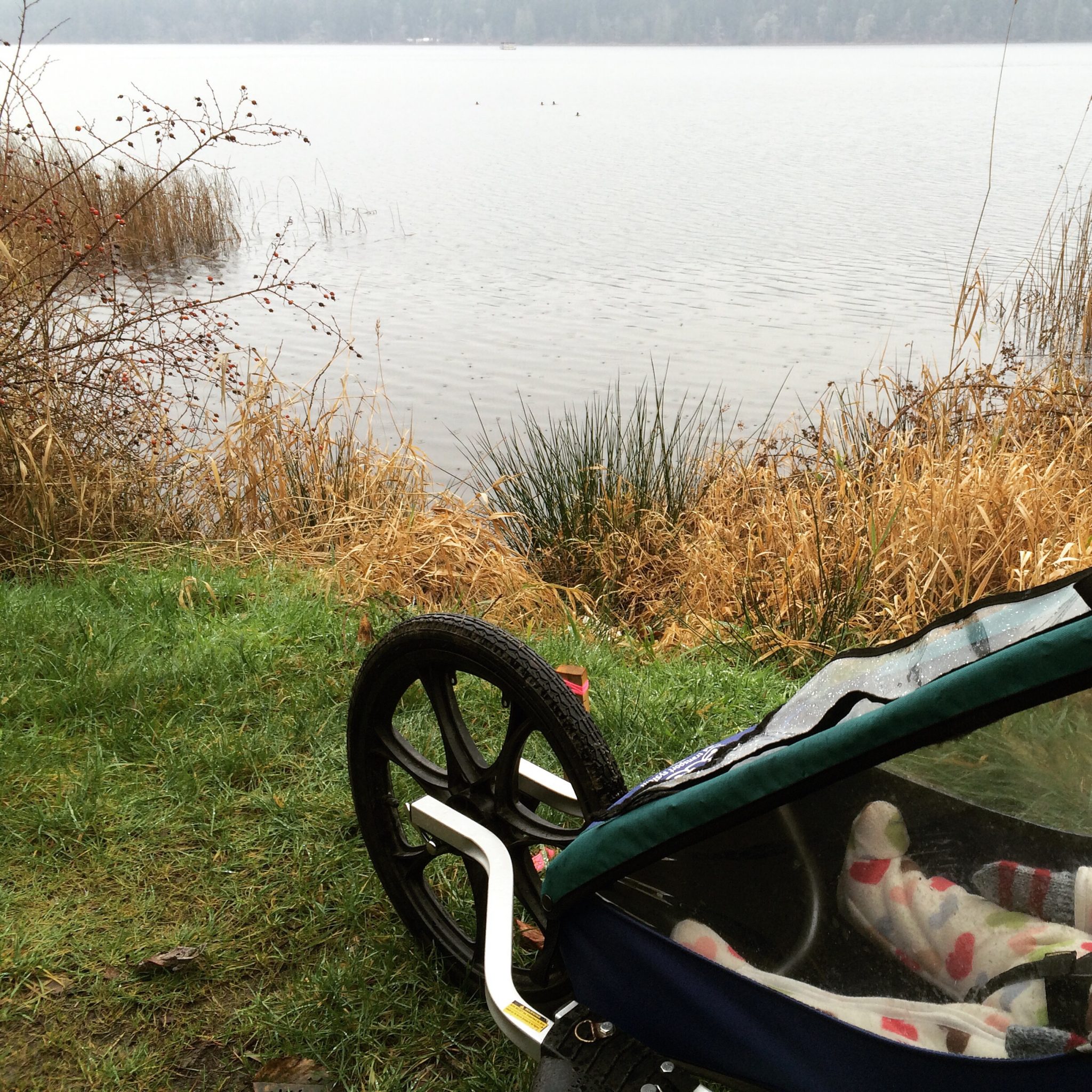 chariot stroller at St Mary's Lake