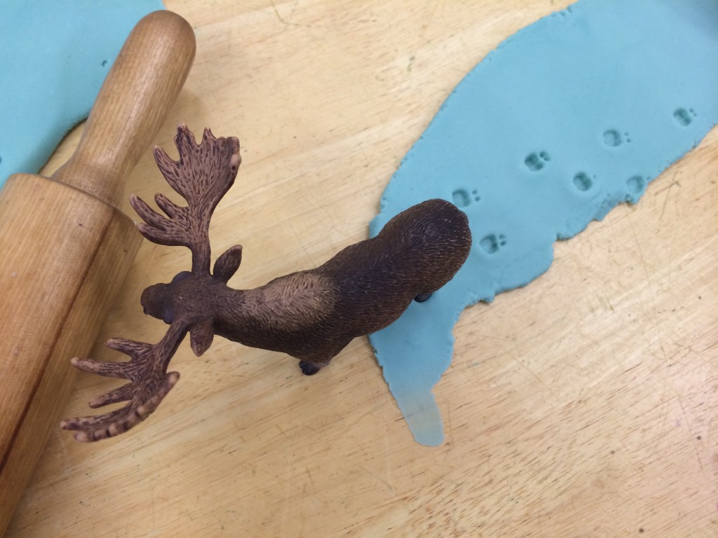 Moose tracks in play dough