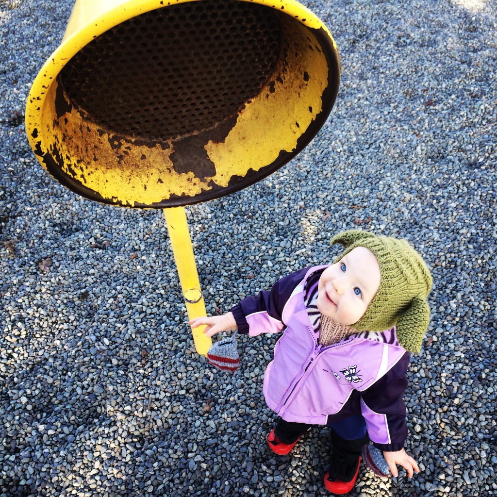 salt spring island playground