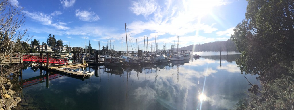 Ganges marina Salt Spring Island