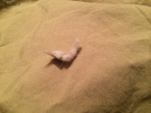 lint in my bed