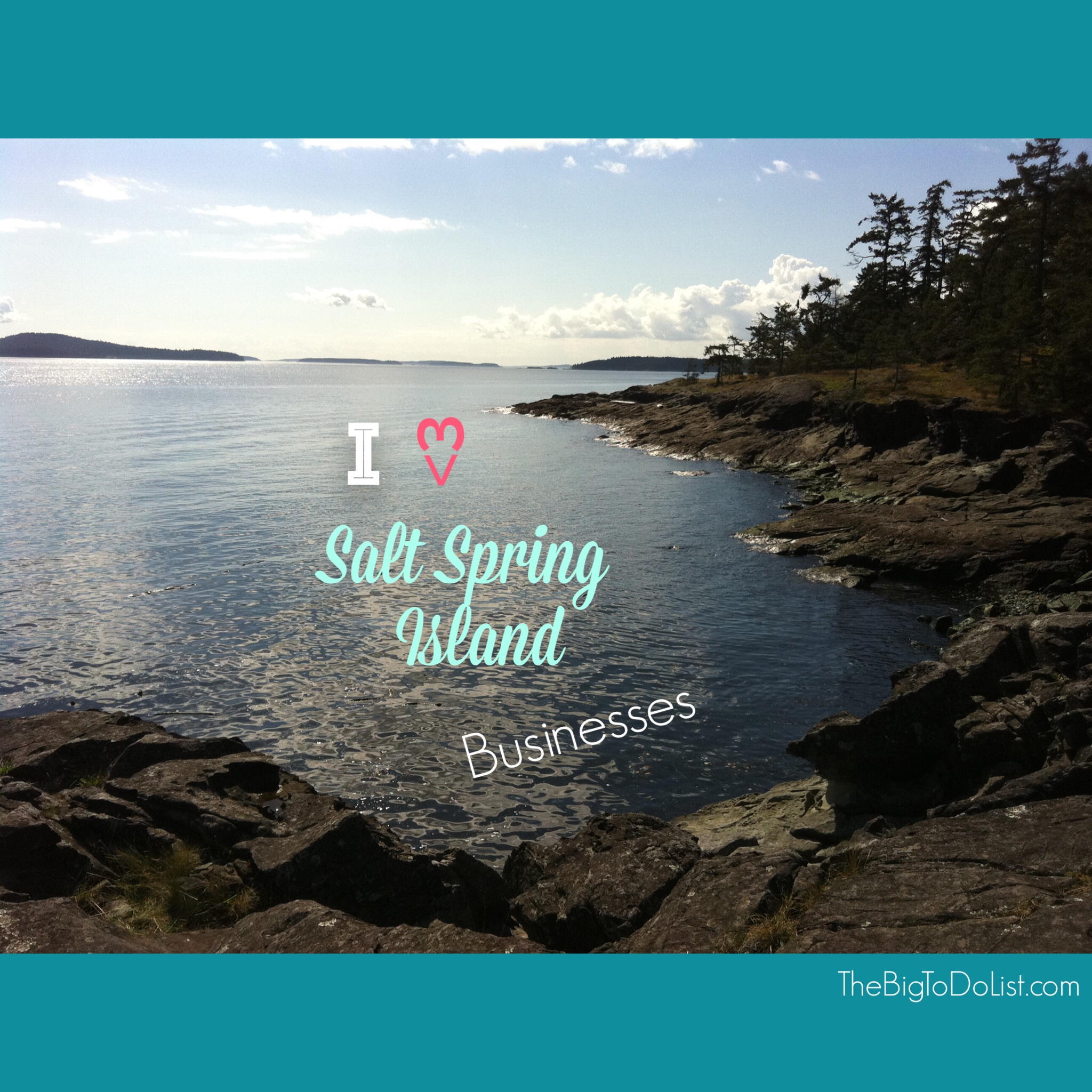 Salt spring island businesses