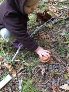 natural toys for camping with a toddler
