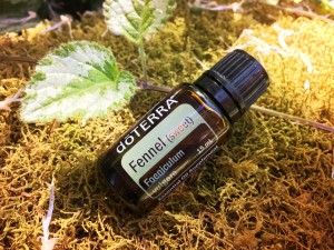 fennel essential oil uses
