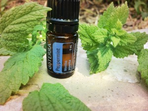 peppermint essential oil uses