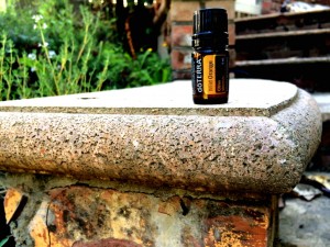 wild orange essential oil uses
