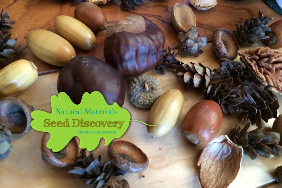 early learning seed discovery