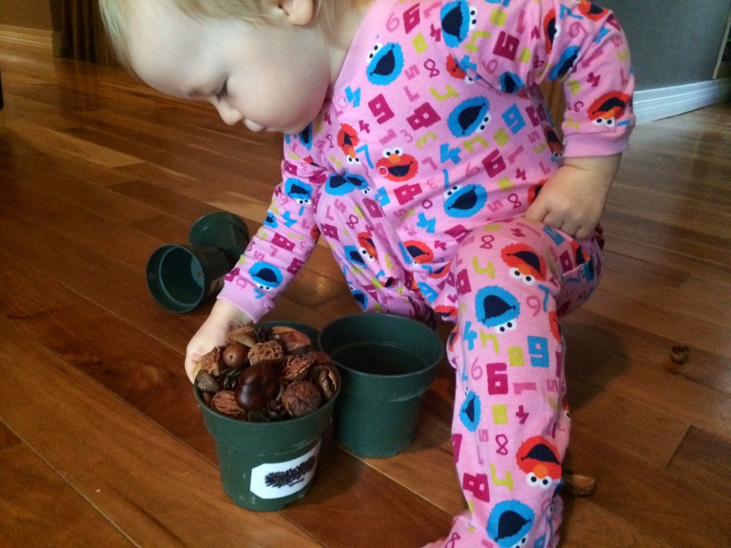 activities for toddlers nature science for kids