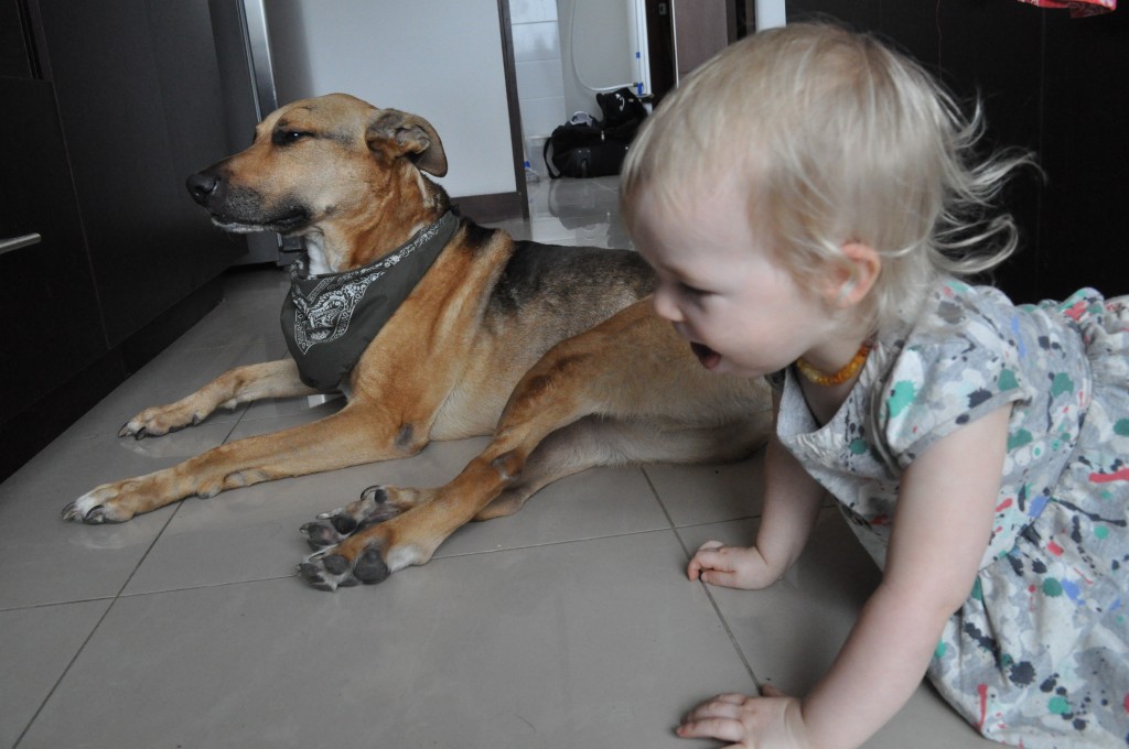 toddler and dog friend 