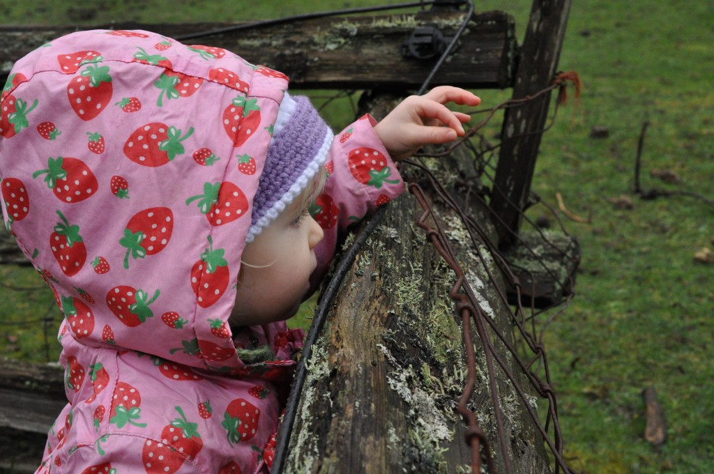 Trying to call a sheep over to eat her tiny speck of grass.