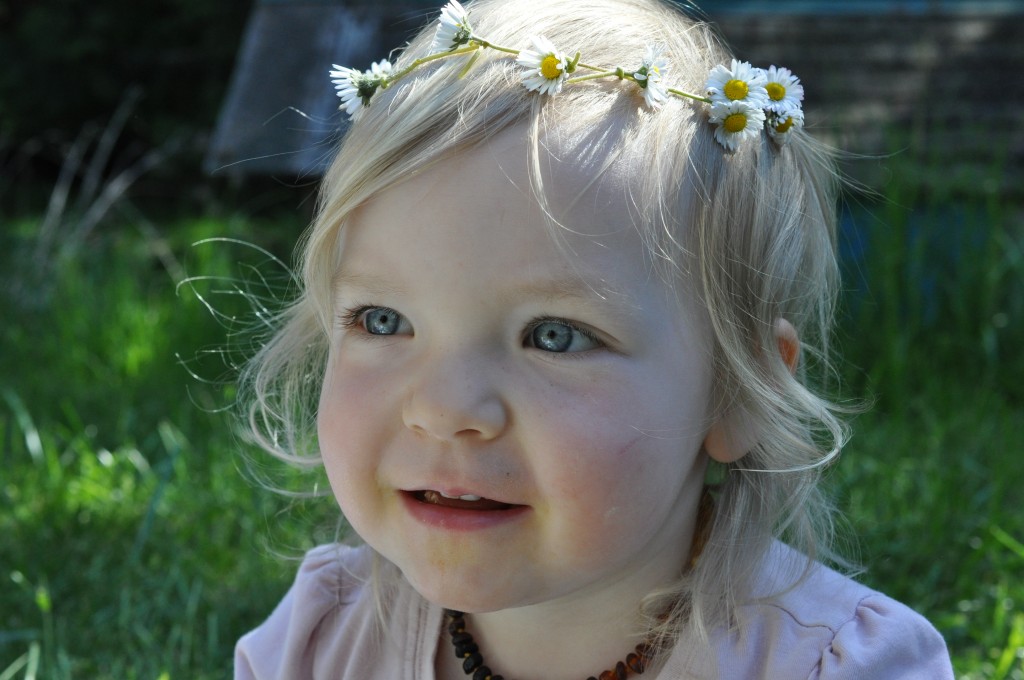 daisy crown