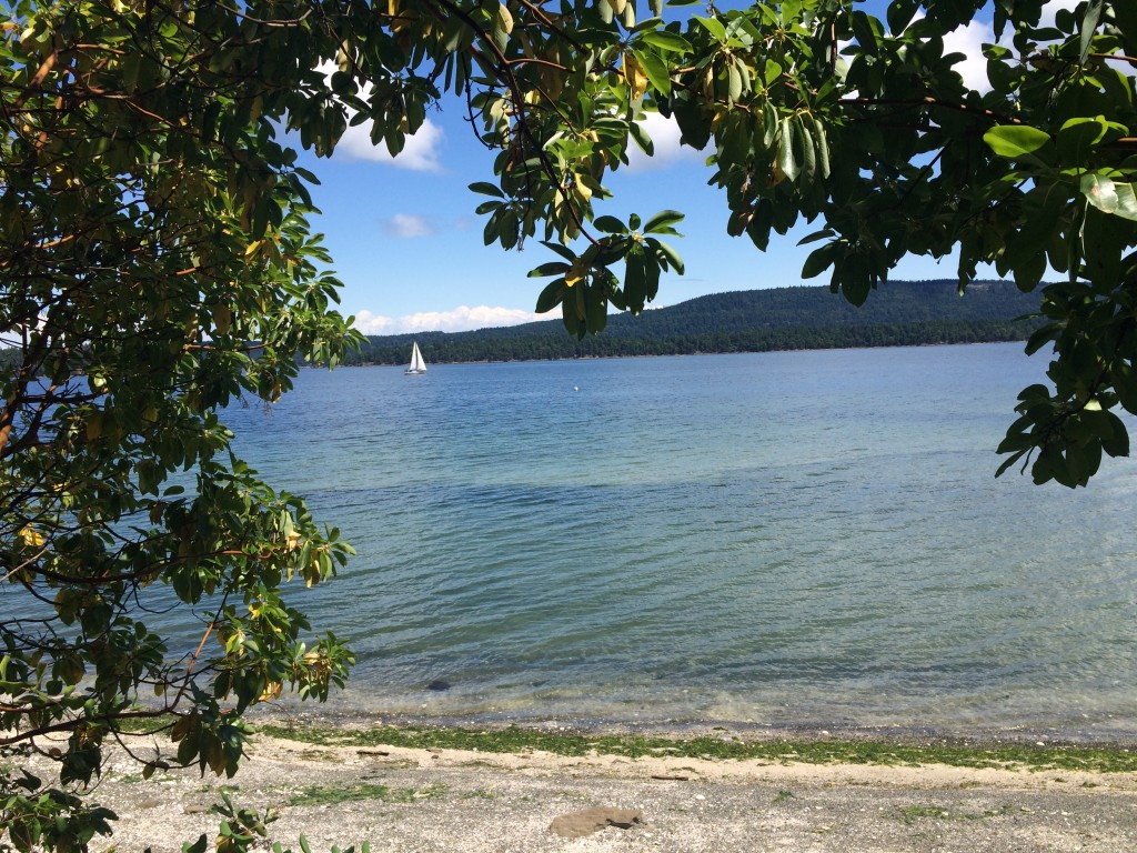 salt spring island beach and sailboat