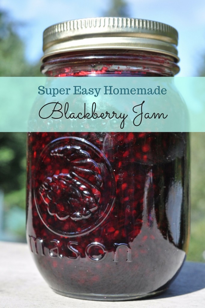 Easy Homemade Blackberry Jam Without Pectin