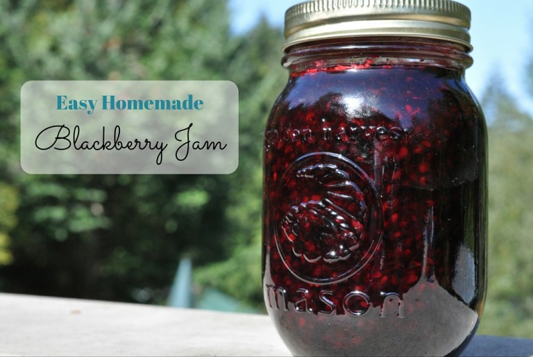 Blackberry Jam Made Easy and Healthy(ish)