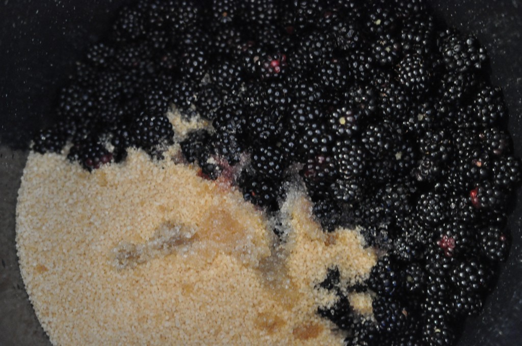 making blackberry jam