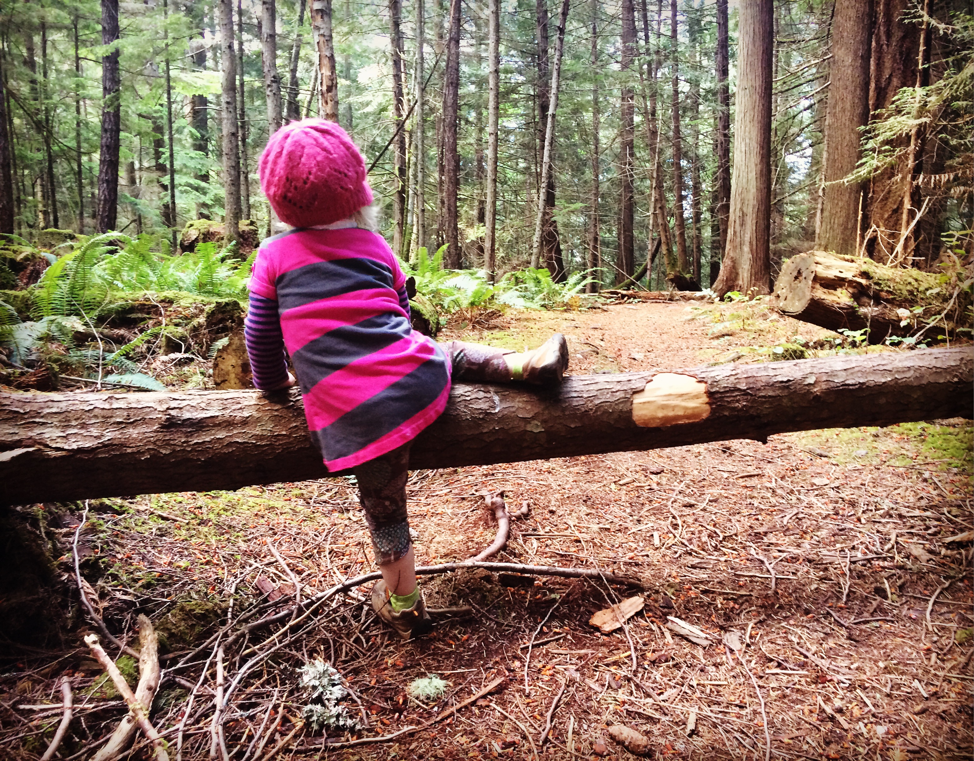 Things to do outside with kids