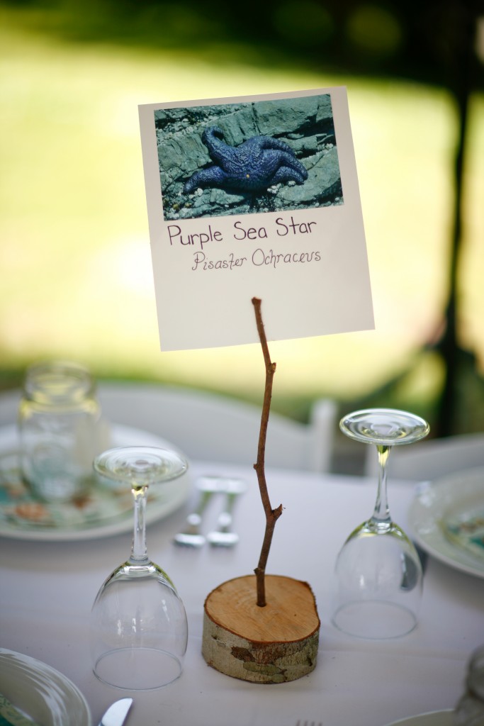 Salt Spring Island wedding table numbers