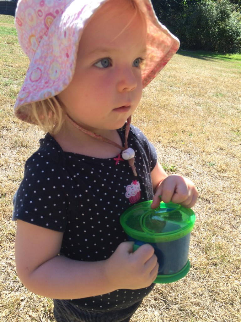 picking blackberries