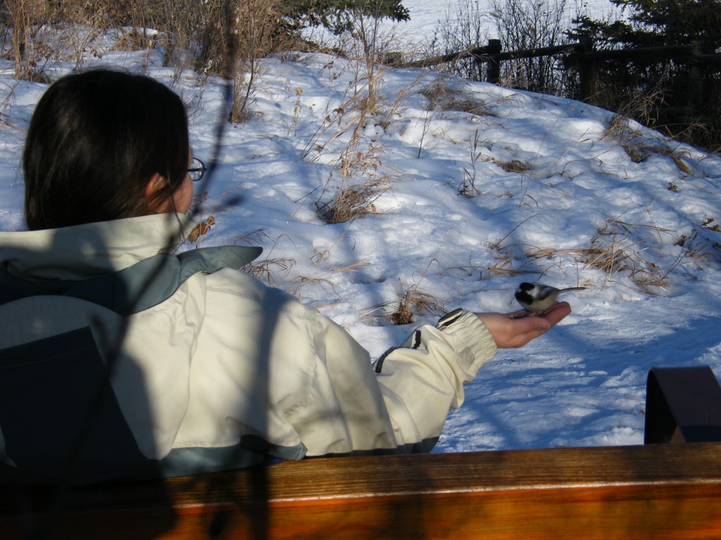 mom with chickadee