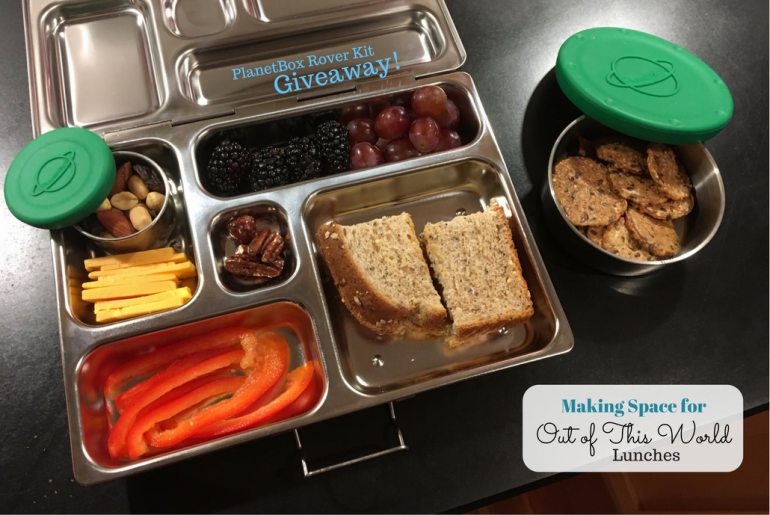Plants Box Rover PlanetBox Rover Stainless Steel Non-Toxic Lunch Box Review