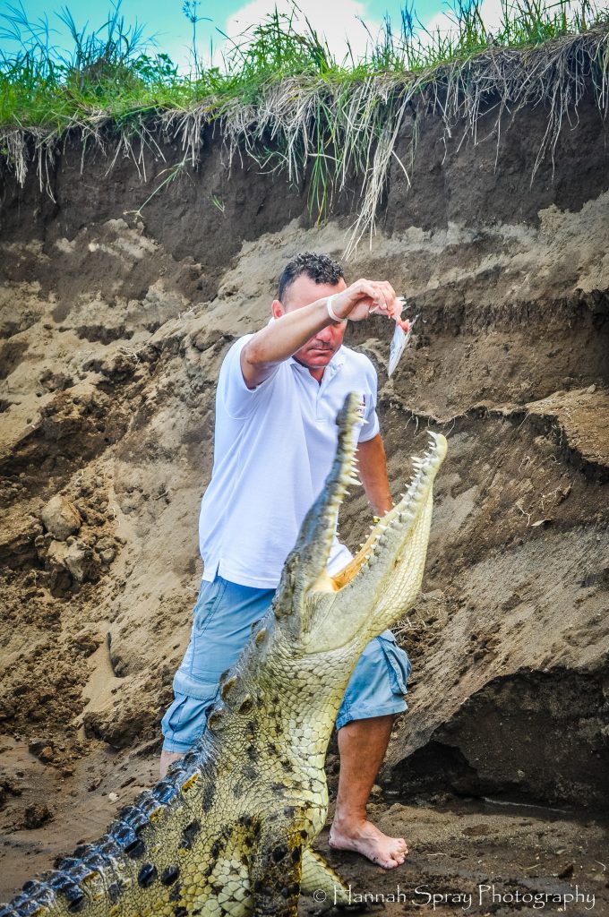 family vacation in costa rica rio tarcoles crocodile