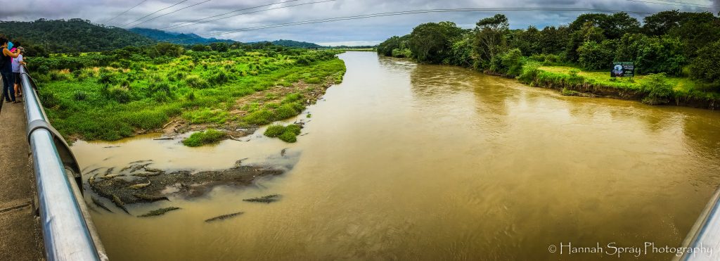 crocodile bridge rio tarcoles costa rica