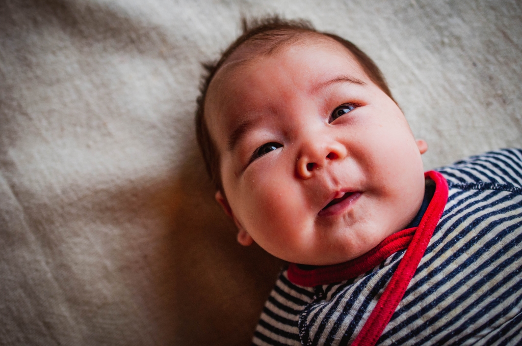 baby family photography salt spring island