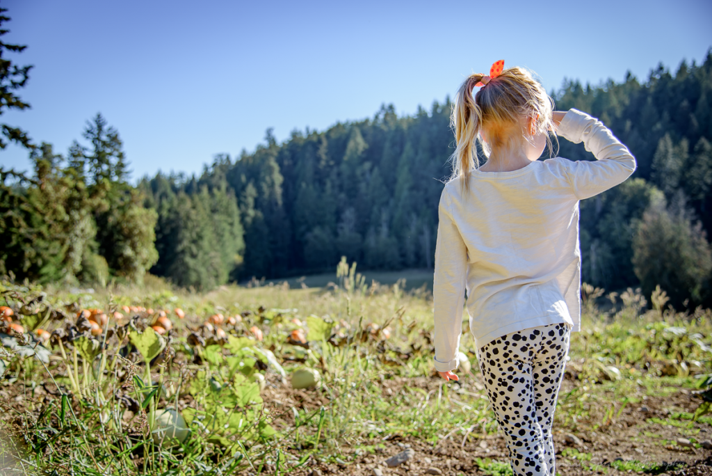 salt spring island pumpkin patch photography