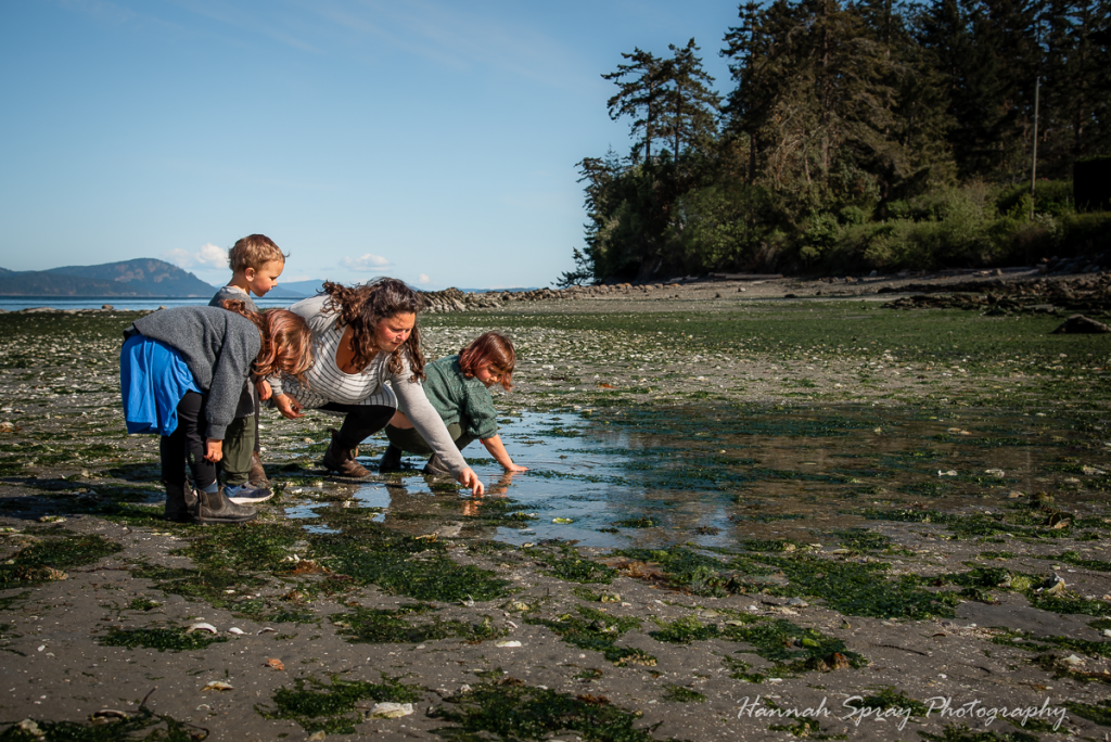 hannah spray photography salt spring island fernwood beach family photoshoot