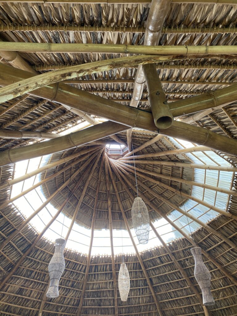 Bamboo hut roof in Nicaragua