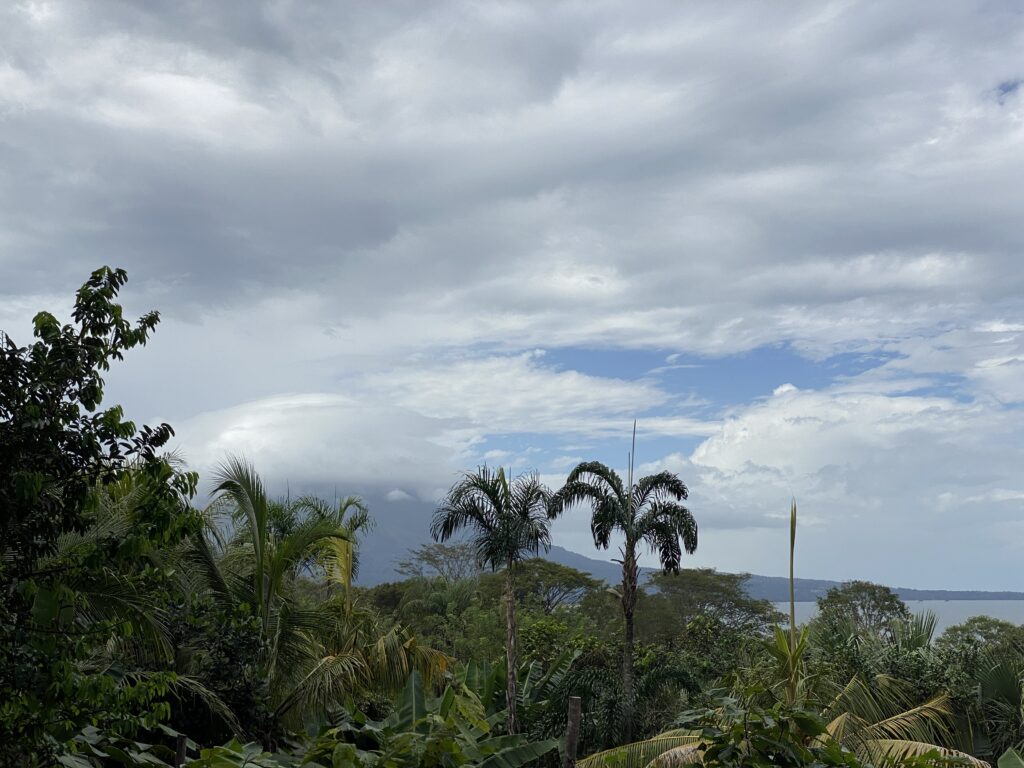 view of volcano conception on ometepe, through the palm trees on a clouded day, from zapote restaurant